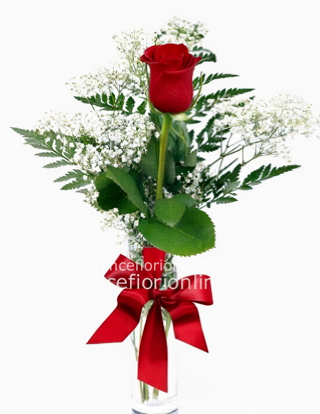Rosa singola 🌹