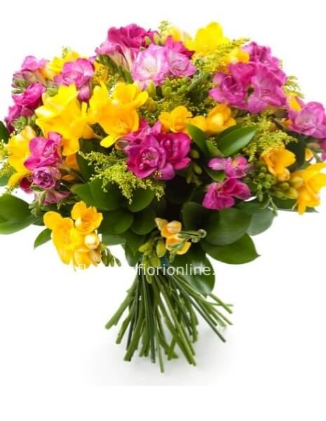 Bouquet di fresie - colori assortiti.