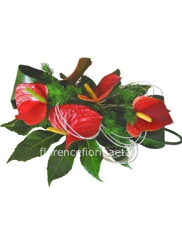 Centrotavola di anthurium rossi