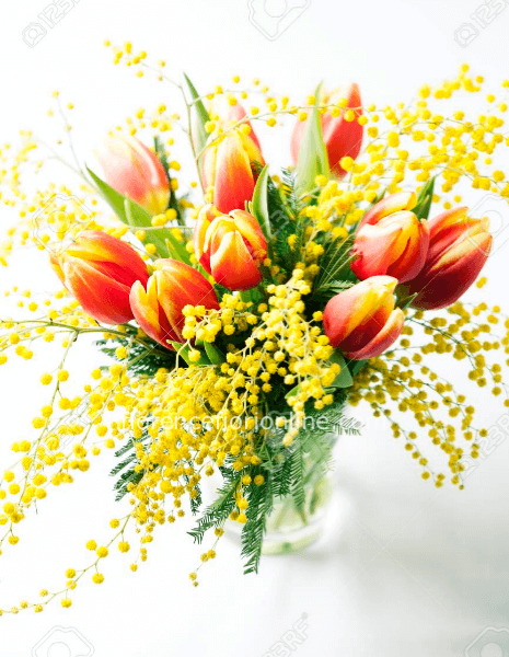 Bouquet di tulipani con mimosa. (Standard)