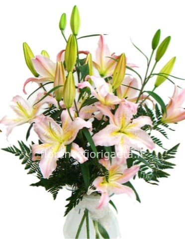 Fascio di lilium