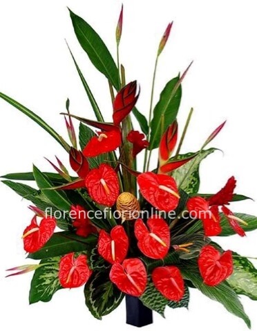 Composizione con 12 anthurium rossi e foglie decorative