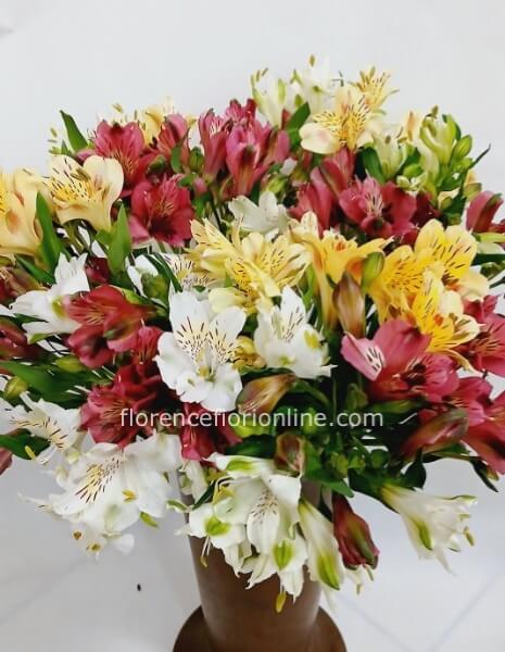 Bouquet di alstroemeria assortiti - Standard
