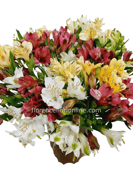 Bouquet Alstroemeria