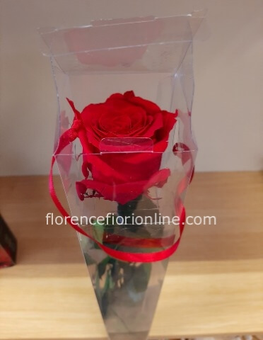 Rosa rossa stabilizzata con stelo » Fiorista consegna fiori e
