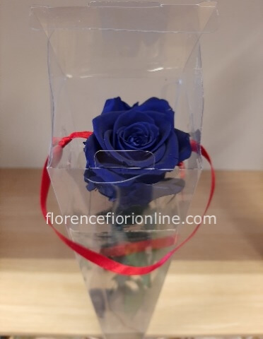 Rosa vera stabilizzata blu con stelo e foglie altezza cm 27