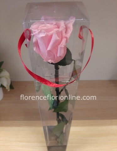 Rosa vera color Rosa stabilizzata con stelo e foglie altezza cm 55.