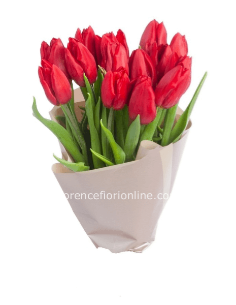 Bouquet di tulipani rossi