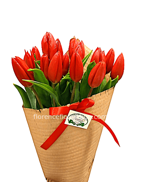 Bouquet di tulipani rossi