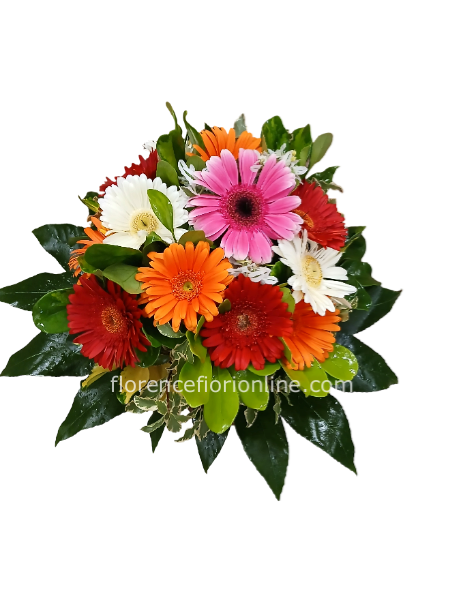 Bouquet di 11 gerbere