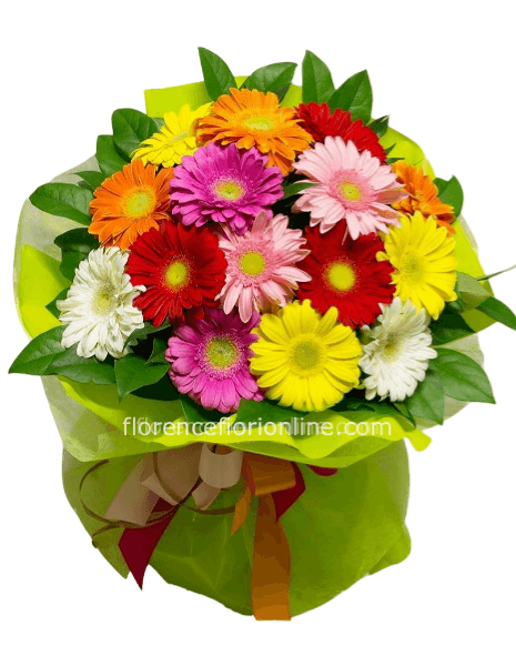 Bouquet di gerbere