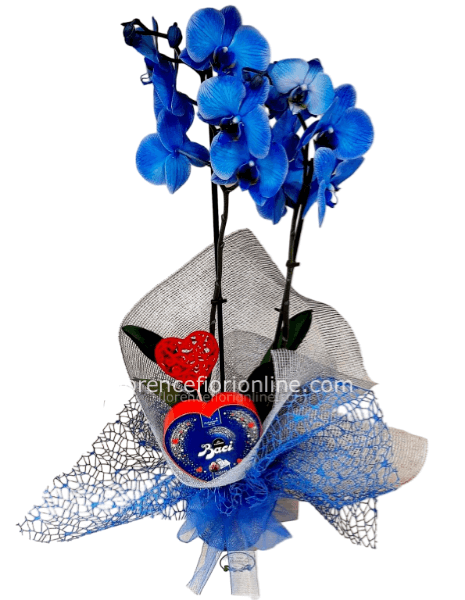Pianta di Orchidea blu a 2 steli + Baci/Lindt + cuoricino.