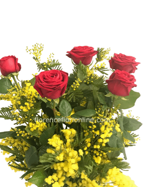 Rose rosse con Mimosa