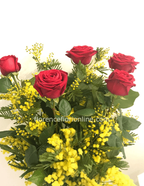 Rose rosse con Mimosa