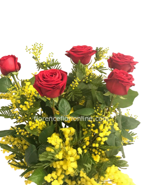 Rose rosse con Mimosa