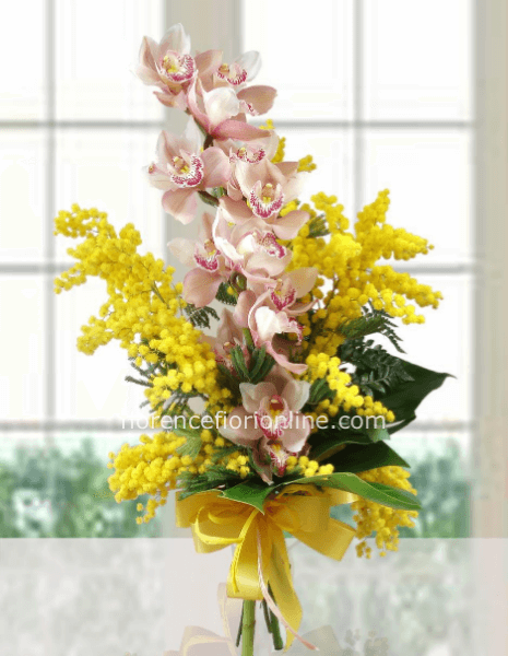 Ramo di orchidea cymbidium con mimosa. h. 40 cm