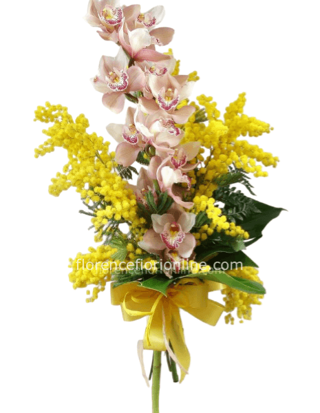 Ramo di orchidea cymbidium con mimosa. h. 40 cm