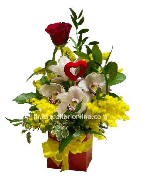 Scatola,vasetto o cestino con 1 rosa rossa orchidea e mimosa.