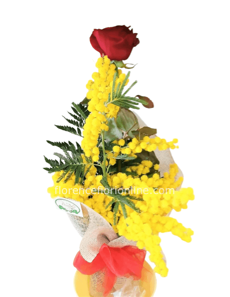 1 Rosa rossa con Mimosa