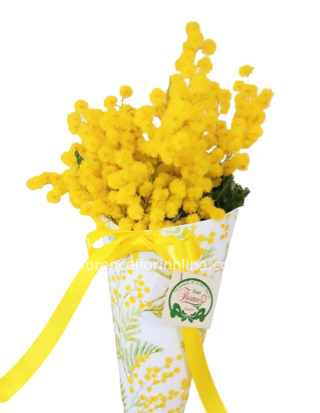 1 ramo di Mimosa in cono decorato. h. 37/40 cm