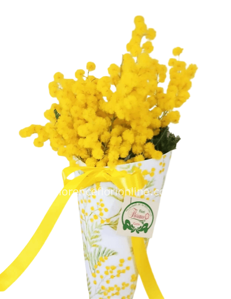 1 ramo di Mimosa in cono decorato. h. 35 cm
