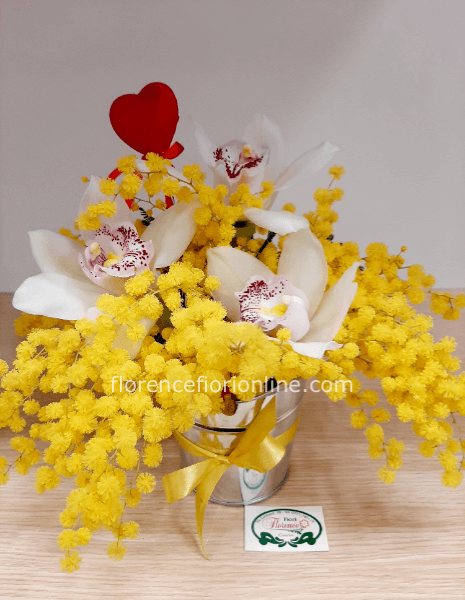 Mimosa e orchidea in vaso