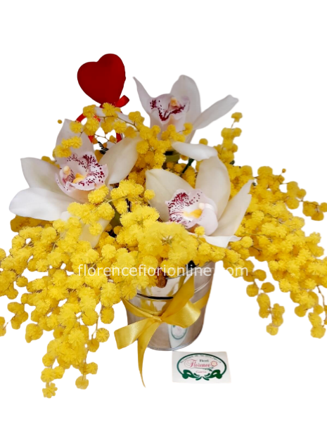 Mimosa e orchidea in vaso