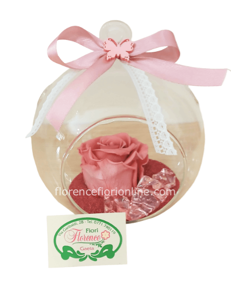 Rosa cherry stabilizzata