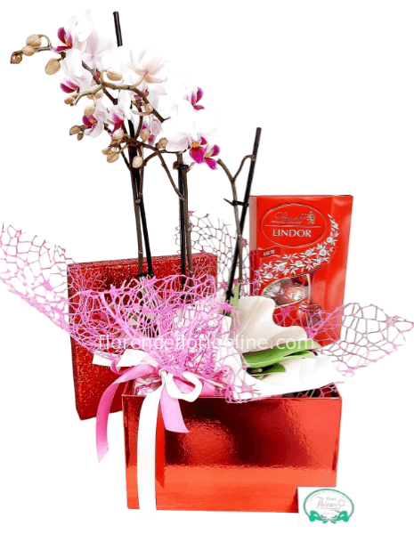 Scatola con pianta di orchidea e cioccolatini.