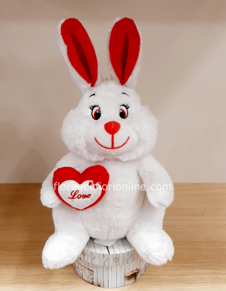 Soffice Peluche altezza cm 25.