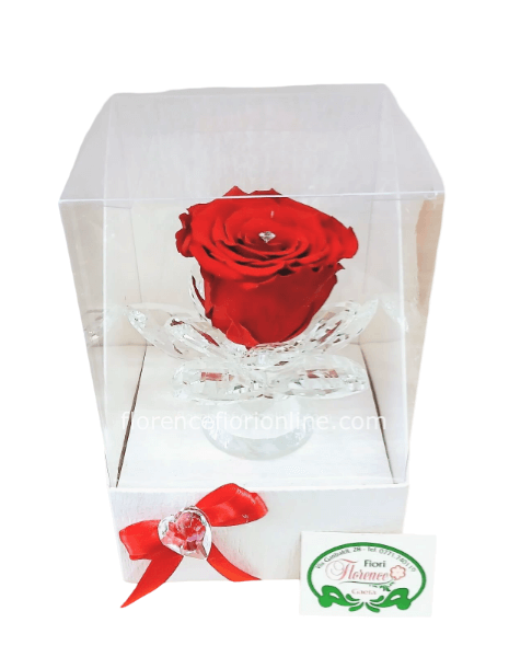 Rosa stabilizzata su vetro