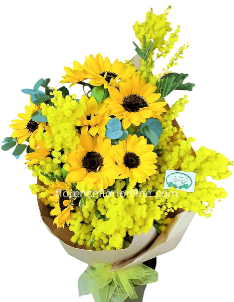 Girasoli e Mimosa