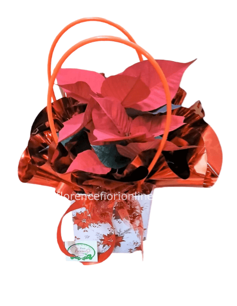 ✨Stella di Natale in borsa