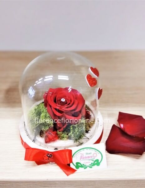 Rosa rossa eterna in campana di vetro