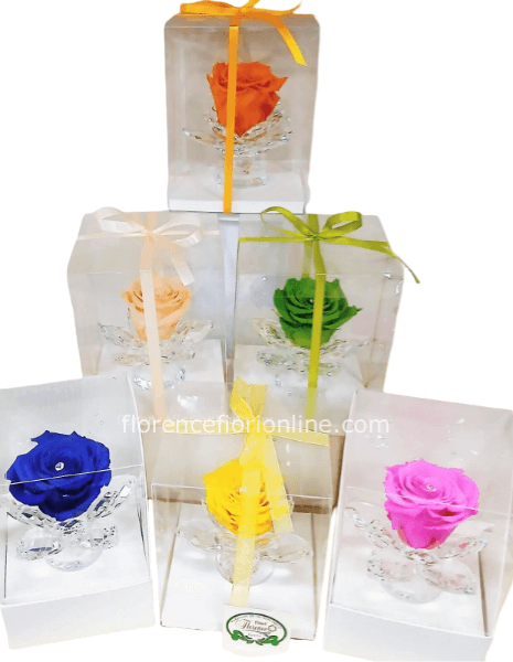 Rosa stabilizzata su vetro