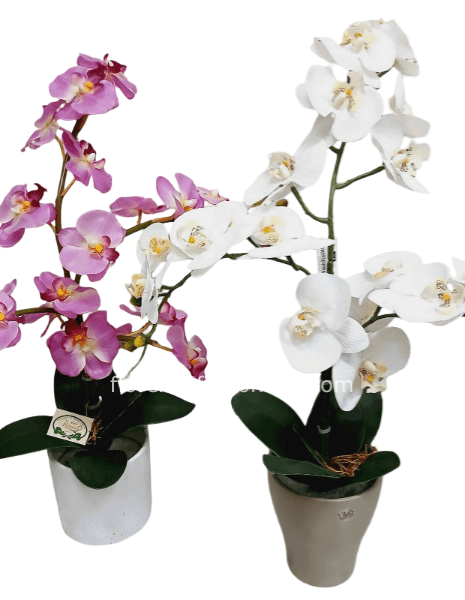 Orchidea Artificiale colore ROSA (H 65/70 cm)