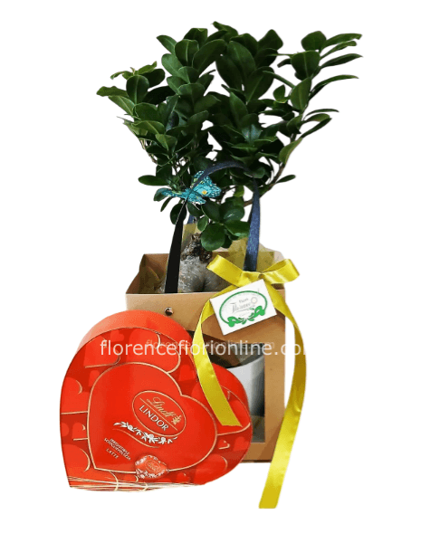 Bonsai h. 40 cm con cuore di cioccolatini