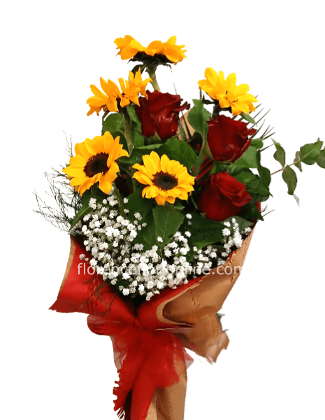 Rose rosse e Girasoli