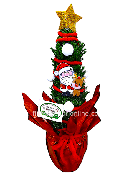 Abete Vero 35 cm per Natale