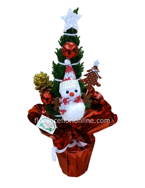 Abete Vero 50 cm per Natale