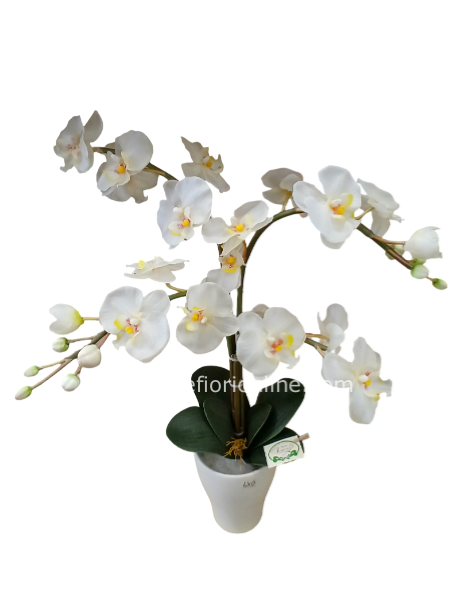 Pianta di Orchidea Artificiale Bianco in vaso di ceramica (h 65/70 cm)