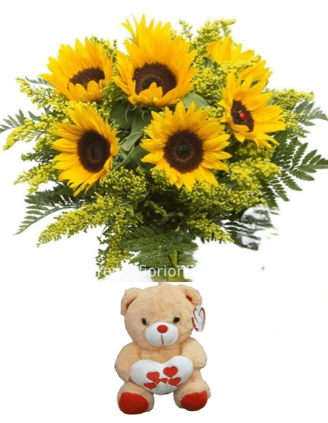 Girasoli e Peluche