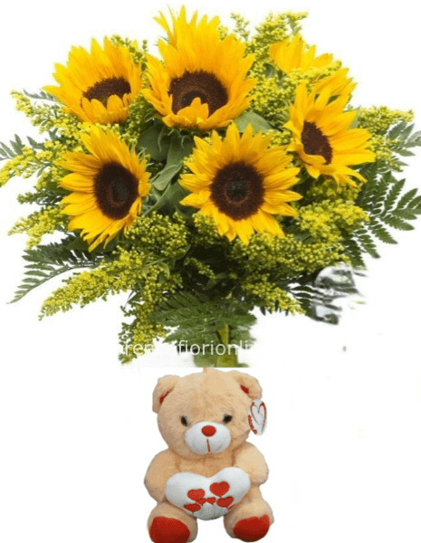 Girasoli e Peluche