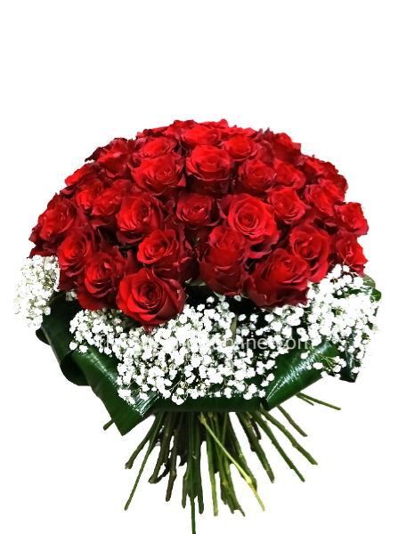 Bouquet 50 Rose rosse