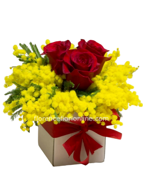 Rose in Box e Mimosa